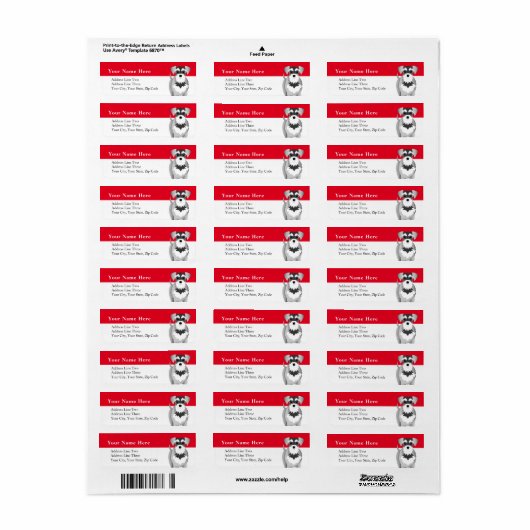 Miniatur Schnauzer Niedlicher Cartoon Zeichnend (Vorne)