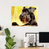 Miniatur-Schnauzer Poster (Heimbüro)