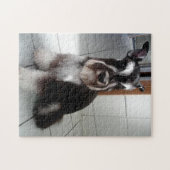 Miniatur Schnauzer Schwarz und Silber Sitzen Puzzle (Horizontal)