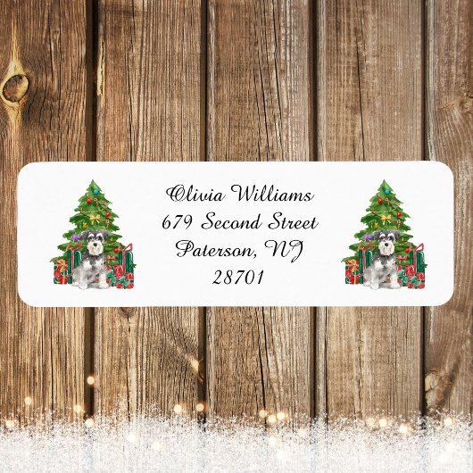 Miniatur Schnauzer Weihnachtsfeiertage Rücksendead