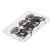 Miniatur Schnauzer Welpen Magnet (Linke Seite)