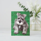 Miniatur Schnauzer Welpenpostkarte Postkarte (Stehend Vorderseite)