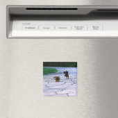 Miniaturansicht 3 magnet (In Situ (Geschirrspüler))