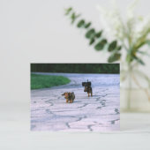 Miniaturansicht 3 postkarte (Stehend Vorderseite)