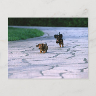 Miniaturansicht 3 postkarte