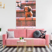 Miniaturansicht Dackel 5 Leinwanddruck (Insitu (Wohnzimmer))