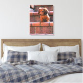 Miniaturansicht Dackel 5 Leinwanddruck (Insitu (Schlafzimmer))