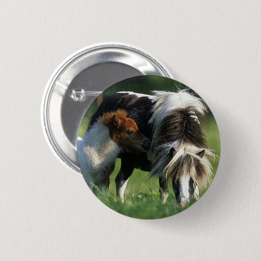 Miniaturbild 2 button (Vorne & Hinten)