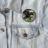 Miniaturbild 2 button (Beispiel)