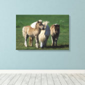 Miniaturbilder und Fohlen 1 Leinwanddruck (Insitu (Holzboden))