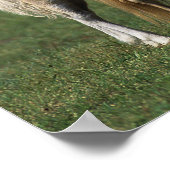 Miniaturbilder und Fohlen 1 Poster (Ecke)