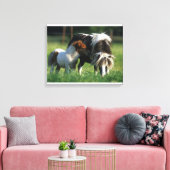 Miniaturbilder und Fohlen 2 Leinwanddruck (Insitu (Wohnzimmer))