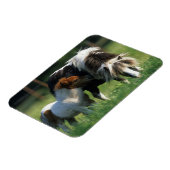 Miniaturbilder und Fohlen 2 Magnet (Linke Seite)