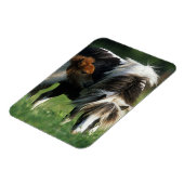 Miniaturbilder und Fohlen 2 Magnet (Linke Seite)