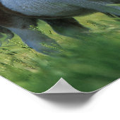 Miniaturbilder und Fohlen 2 Poster (Ecke)