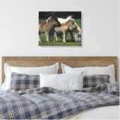 Miniaturbilder und Fohlen 3 Leinwanddruck (Insitu (Schlafzimmer))