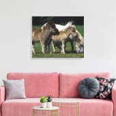 Miniaturbilder und Fohlen 3 Leinwanddruck (Insitu (Wohnzimmer))