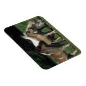 Miniaturbilder und Fohlen 3 Magnet (Rechte Seite)