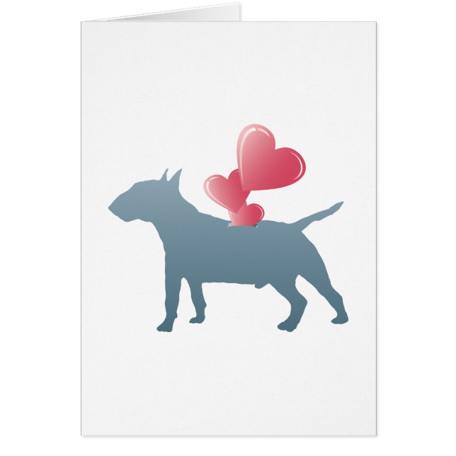 MiniaturBullterrier (Vorne)
