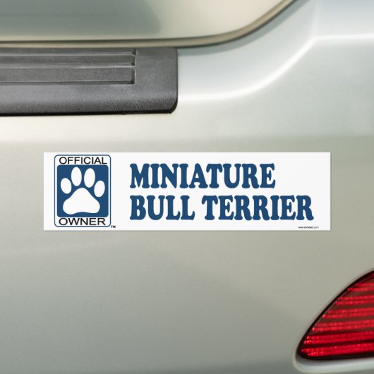 MiniaturBullterrier-Blau Autoaufkleber (Auf Auto)