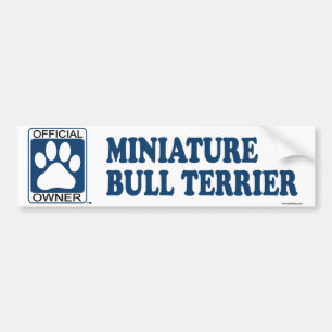 MiniaturBullterrier-Blau Autoaufkleber