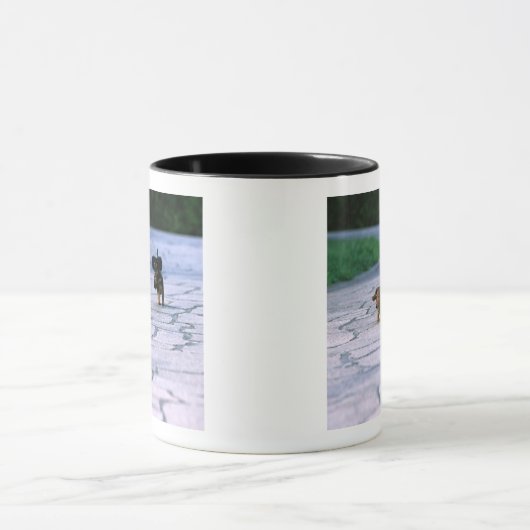 MiniaturDackel 3 Tasse (Zentrum)