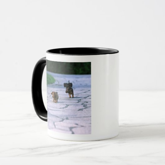 MiniaturDackel 3 Tasse (Vorderseite Links)