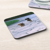 MiniaturDackel 3 Untersetzer (Linke Seite)