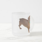 MiniaturDackel Mattglastasse (VorderseiteRechts)