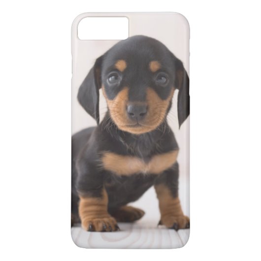 MiniaturDackel-Sitzen Case-Mate iPhone Hülle (Rückseite)