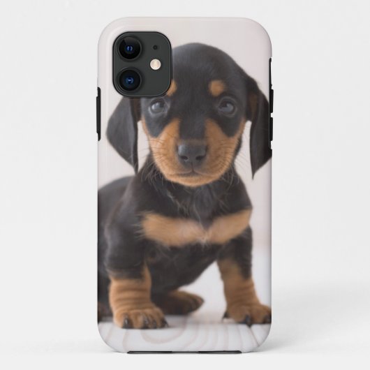 MiniaturDackel-Sitzen Case-Mate iPhone Hülle (Rückseite)