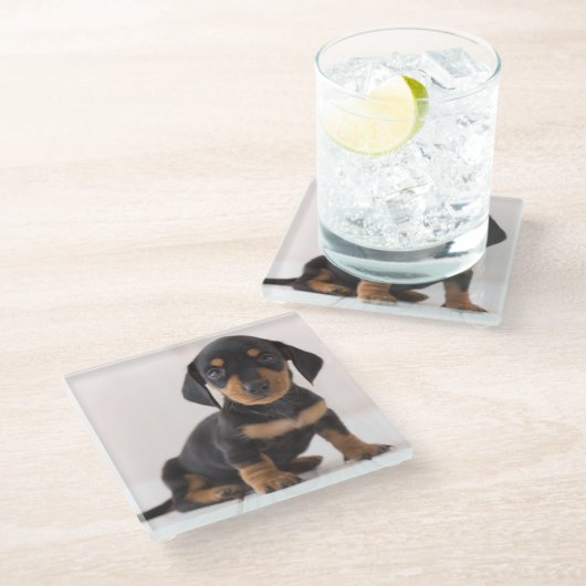 MiniaturDackel-Sitzen Glasuntersetzer (Schrägansicht)