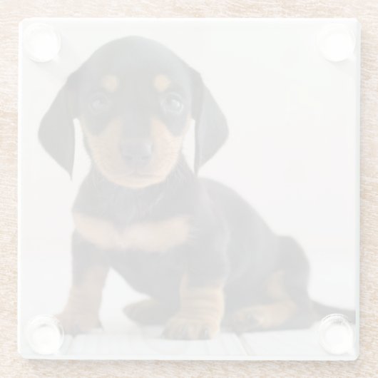MiniaturDackel-Sitzen Glasuntersetzer (Rückseite)