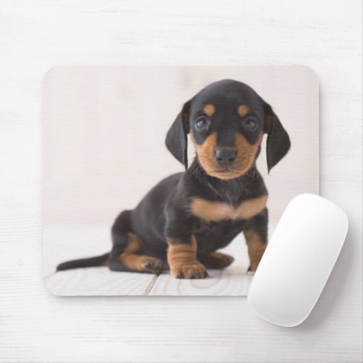 MiniaturDackel-Sitzen Mousepad (Mit Mouse)