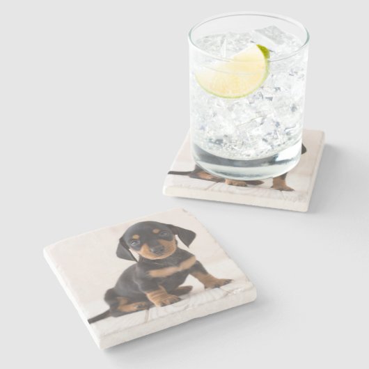 MiniaturDackel-Sitzen Steinuntersetzer (Seitenansicht)