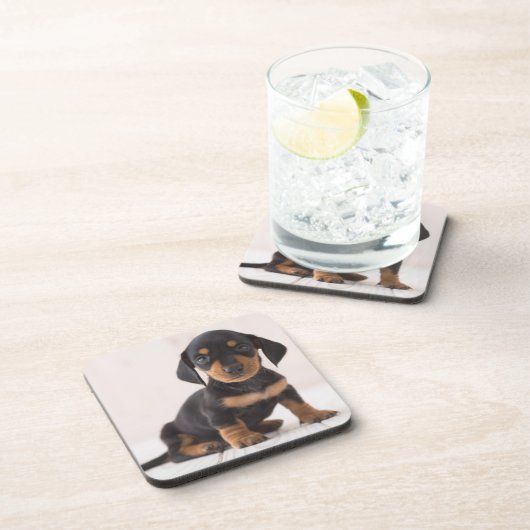 MiniaturDackel-Sitzen Untersetzer (Rechte Seite)