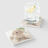 MiniaturDackel Steinuntersetzer (Seitenansicht)