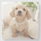 MiniaturDackel Steinuntersetzer (Vorderseite)