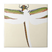 Miniaturdrachenfliege im weißen Hintergrund Fliese (Vorderseite)