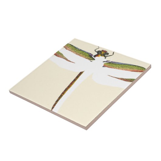 Miniaturdrachenfliege im weißen Hintergrund Fliese (Seite)