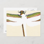 Miniaturdrachenfliege im weißen Hintergrund Postkarte (Vorne/Hinten)