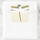 Miniaturdrachenfliege im weißen Hintergrund Quadratischer Aufkleber (Tasche)