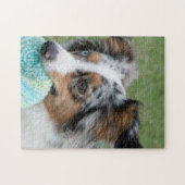 Miniature American Sepherd Blue Merle Puzzle (Horizontal)