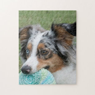 Miniature American Sepherd Blue Merle Puzzle