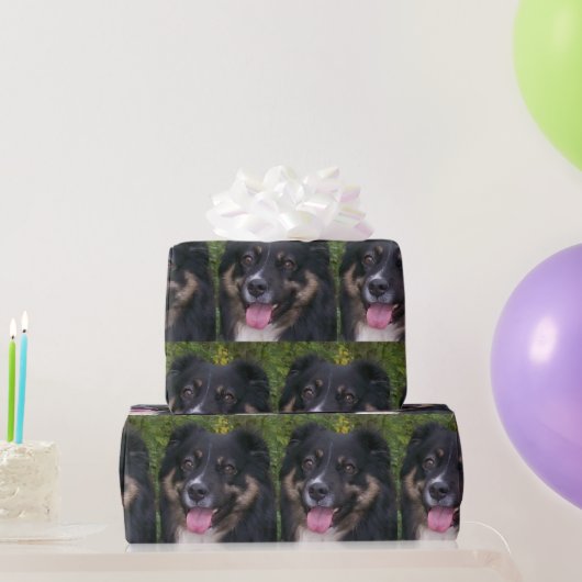 Miniature American Shepherd Black Tri Geschenkpapier (Partygeschenke)