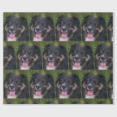 Miniature American Shepherd Black Tri Geschenkpapier (Flach)