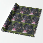 Miniature American Shepherd Black Tri Geschenkpapier (Ungerollt)