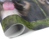 Miniature American Shepherd Black Tri Geschenkpapier (Rolleneckpunkt)