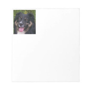 Miniature American Shepherd Black Tri Notizblock