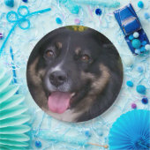 Miniature American Shepherd Black Tri Pappteller (Party)